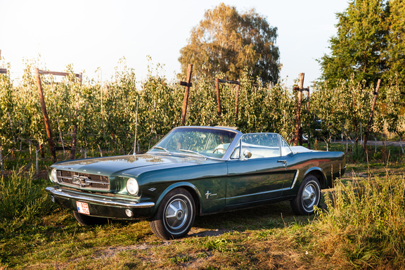 Oldtimerverhuur-wagen-Ford-Mustang-V8-Convertible-7.jpg