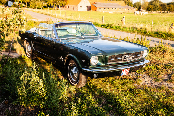 Oldtimerverhuur-wagen-Ford-Mustang-V8-Convertible-9.jpg