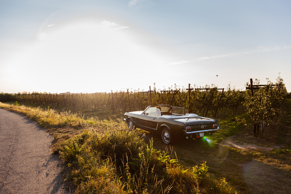 Oldtimerverhuur-wagen-Ford-Mustang-V8-Convertible-11.jpg