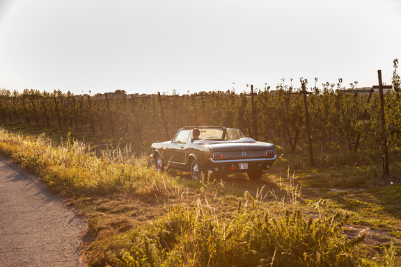 Oldtimerverhuur-wagen-Ford-Mustang-V8-Convertible-13.jpg