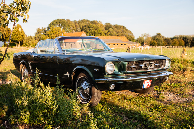 Oldtimerverhuur-wagen-Ford-Mustang-V8-Convertible-10.jpg