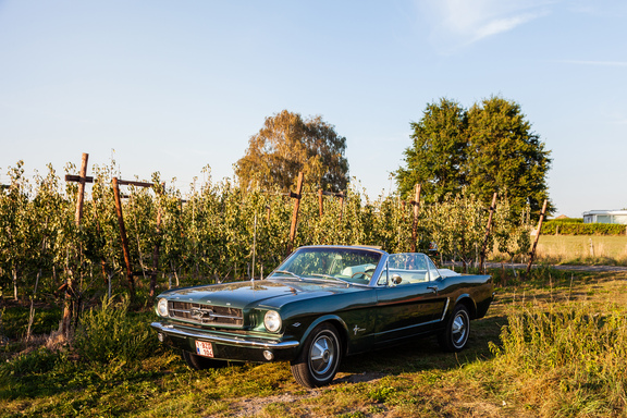 Oldtimerverhuur-wagen-Ford-Mustang-V8-Convertible-1.jpg