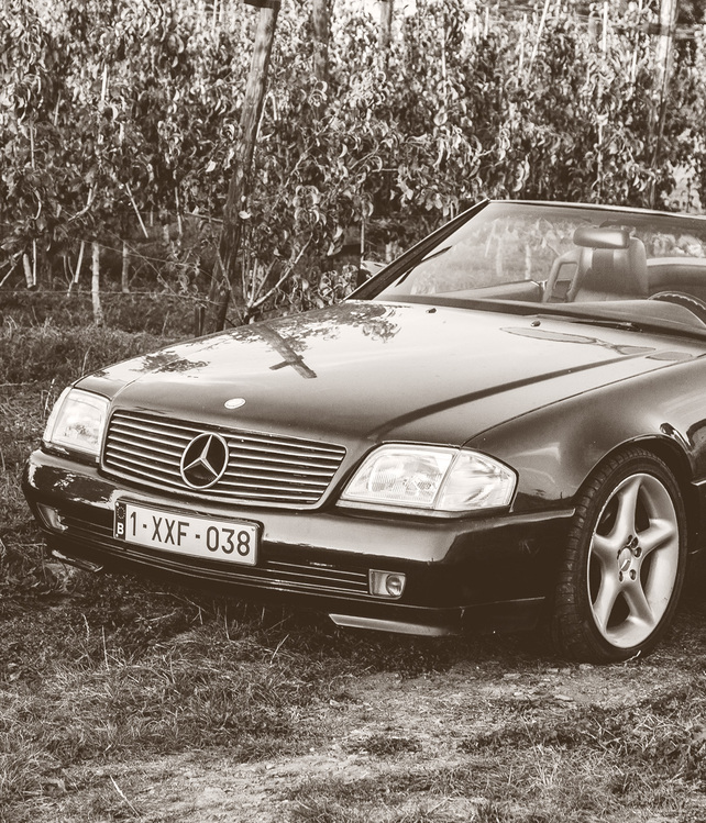 mercedes-250-SL-intro.jpg