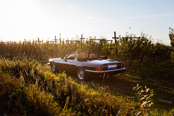 Oldtimerverhuur-wagen-jaguar-XJS-V12-convertible-3.jpg