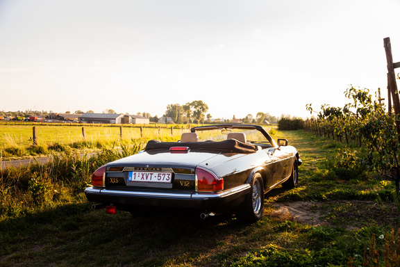 Oldtimerverhuur-wagen-jaguar-XJS-V12-convertible-6.jpg