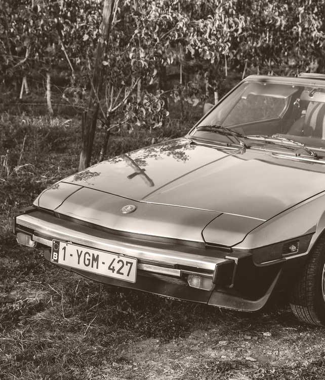 bertone-x19-intro.jpg