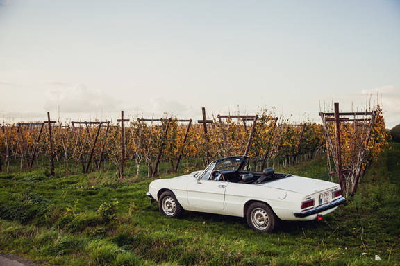 oldtimerverhuur-wagen-alfaromeo-spider-77-4.jpg