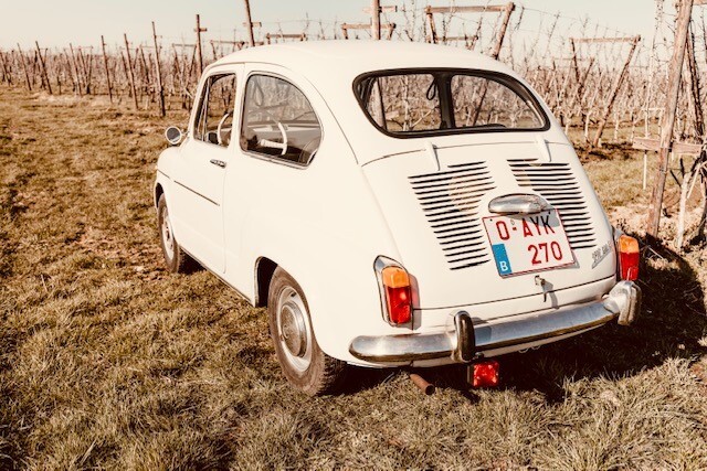 Seat6005.jpg