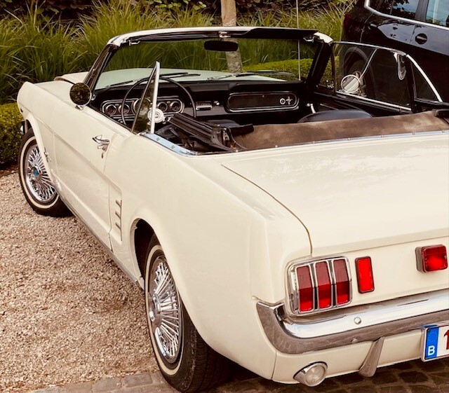Mustang2.jpg