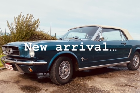 mustangblauw1.jpg